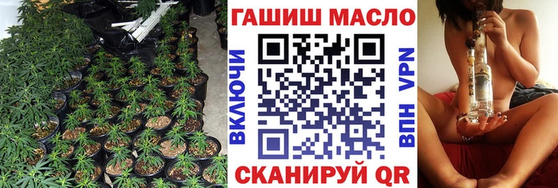 MEGA ONION  Кингисепп  ТГК концентрат 