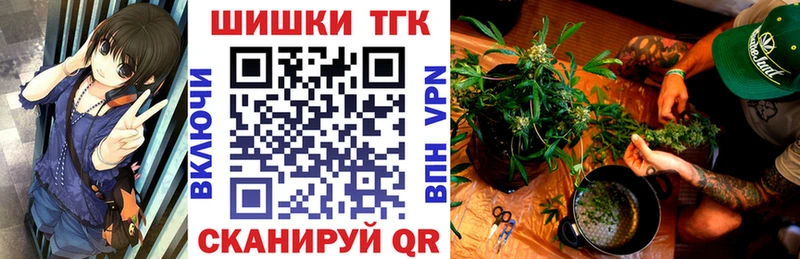 Конопля гибрид  блэк спрут ССЫЛКА  Кингисепп 